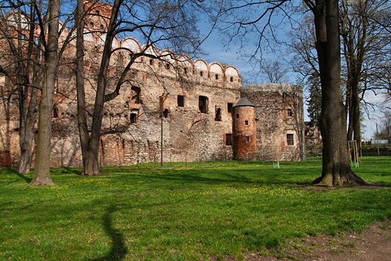 Schlossruine von Süden